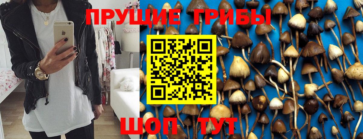 Галлюциногенные грибы Cubensis Котлас