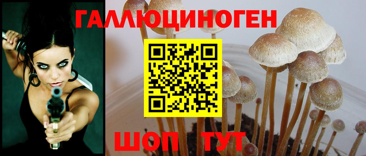 Псилоцибиновые грибы прущие грибы  Псилоцибиновые грибы мухоморы  Вход с VPN  Котлас 